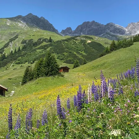 Apartment Ibex